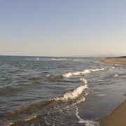 argonauti sea life spiaggia