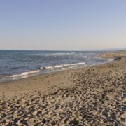 argonauti sea life spiaggia 2