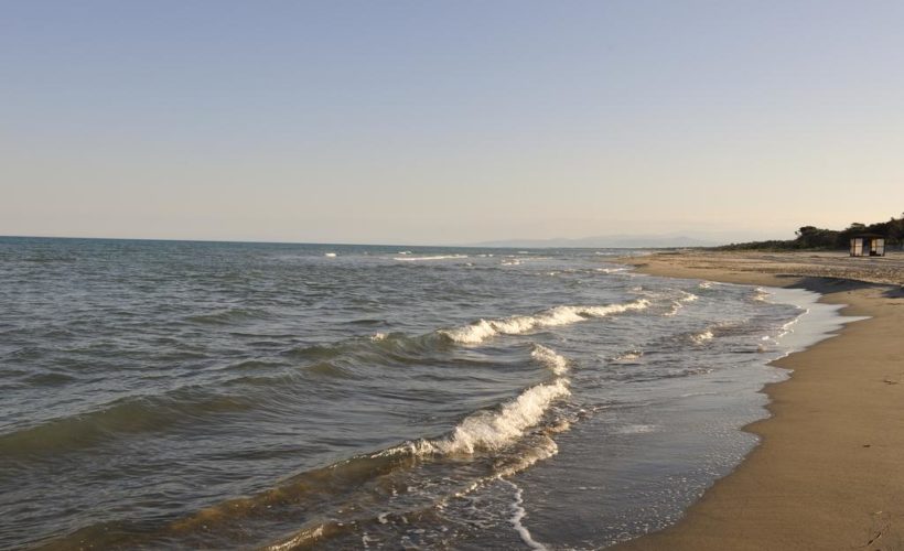 argonauti sea life spiaggia